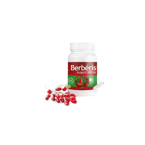 berberis-vulgaris-300mg-60-gelules